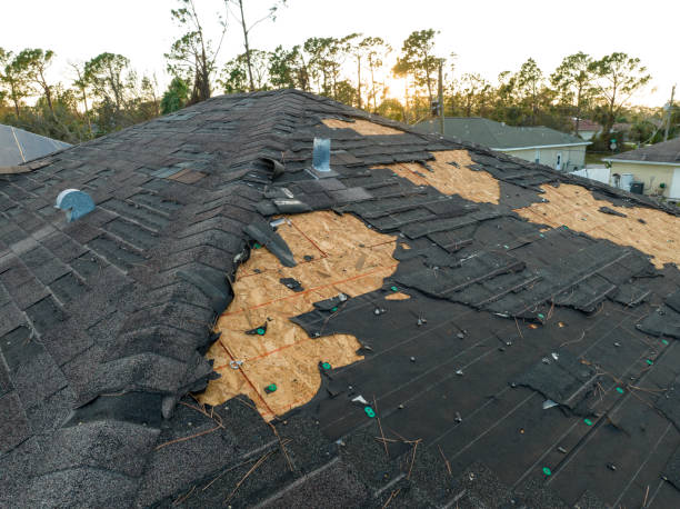 Professional  Roofing repair and installation in Sandy Springs, SC